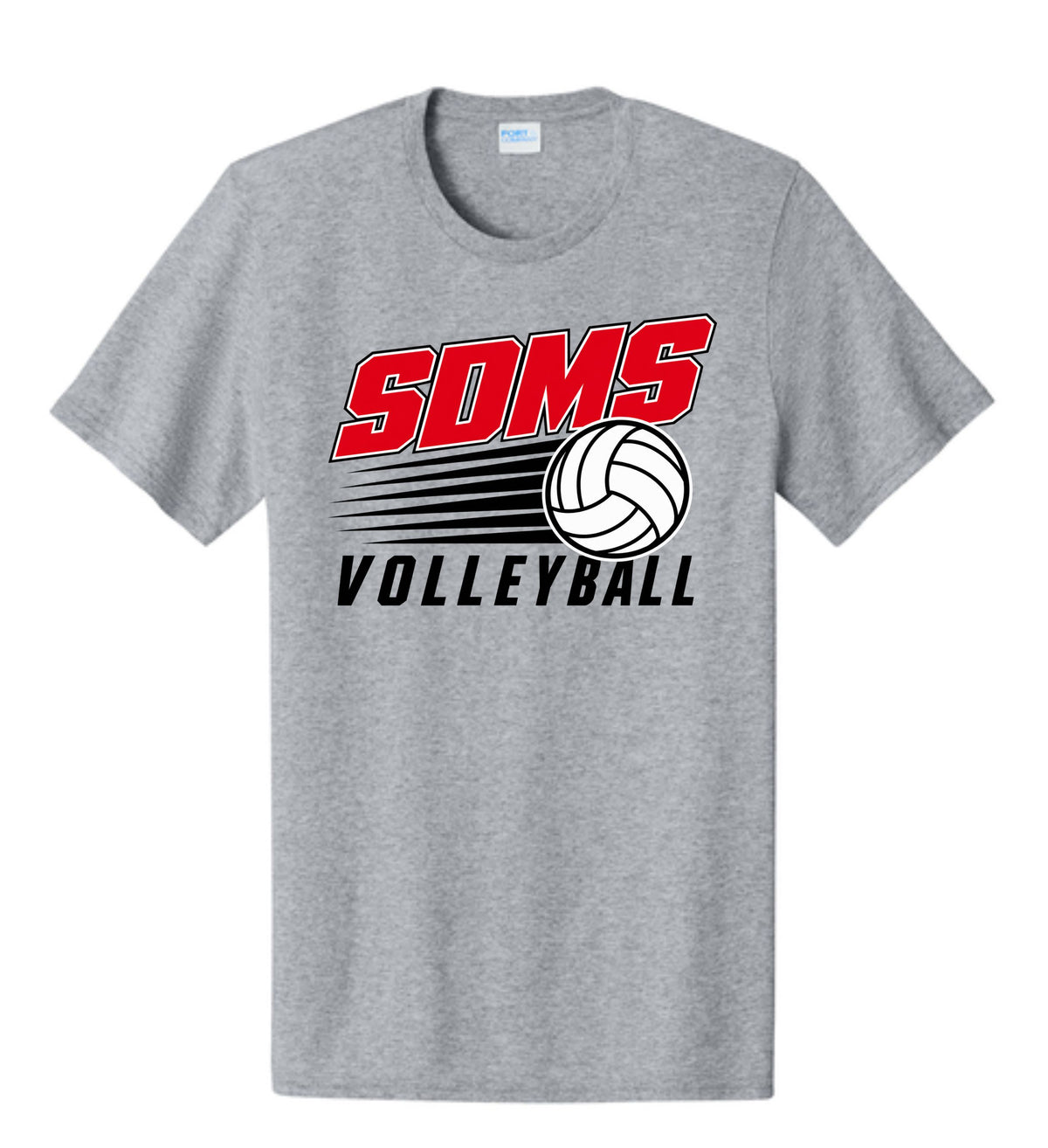 SDMS volleyball
