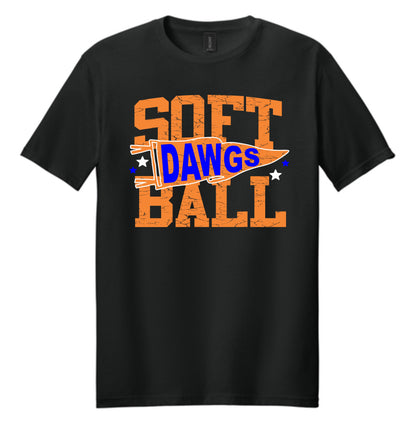 Distressed sports pennant