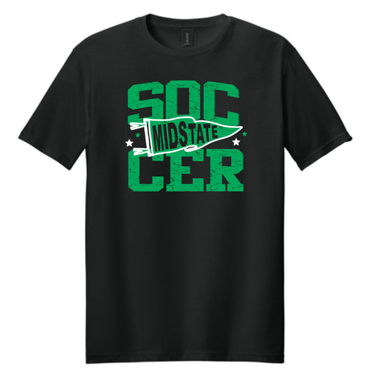 Distressed sports pennant