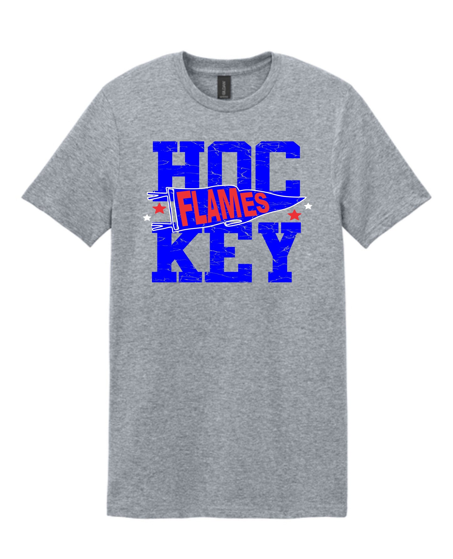 Distressed sports pennant