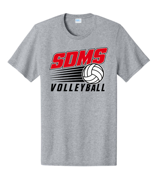 SDMS volleyball