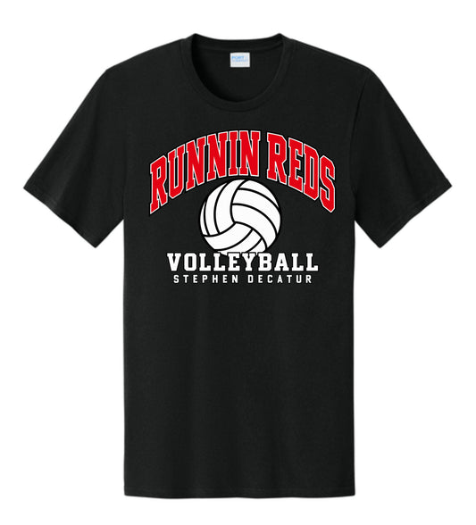 SDMS Arched Volleyball