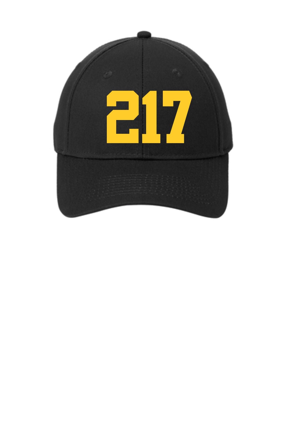 217 Embroidered hat